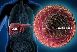 Hepatitis C Virus pic